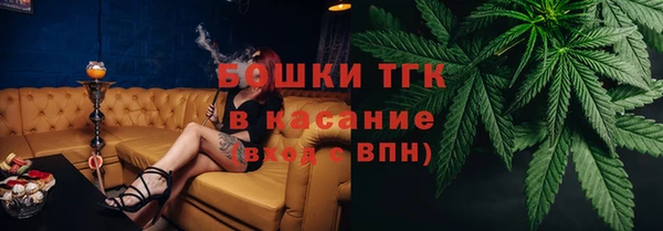 винт Бородино