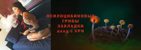 винт Бородино