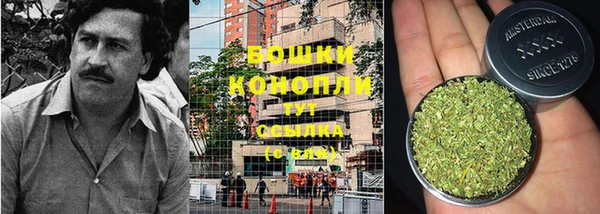 винт Бородино
